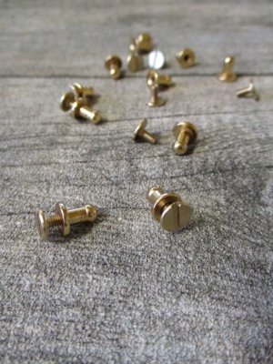 Knopfniete Kopfschraubniete Beiltaschenknopf Patronentaschenverschluss gold Metall 8x4 mm - MONDSPINNE